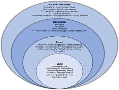 The Development and Public Health Implications of <mark class="highlighted">Food Preferences</mark> in Children
